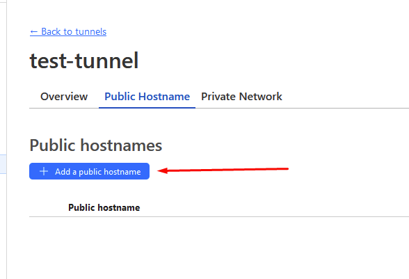 add a public hostname for the tunnel